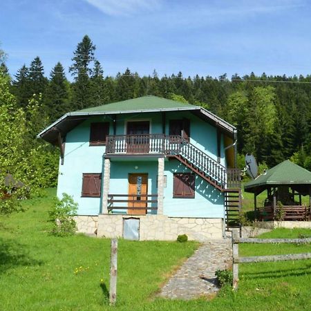 Mystic Forest Hostel Mitrovac Kültér fotó