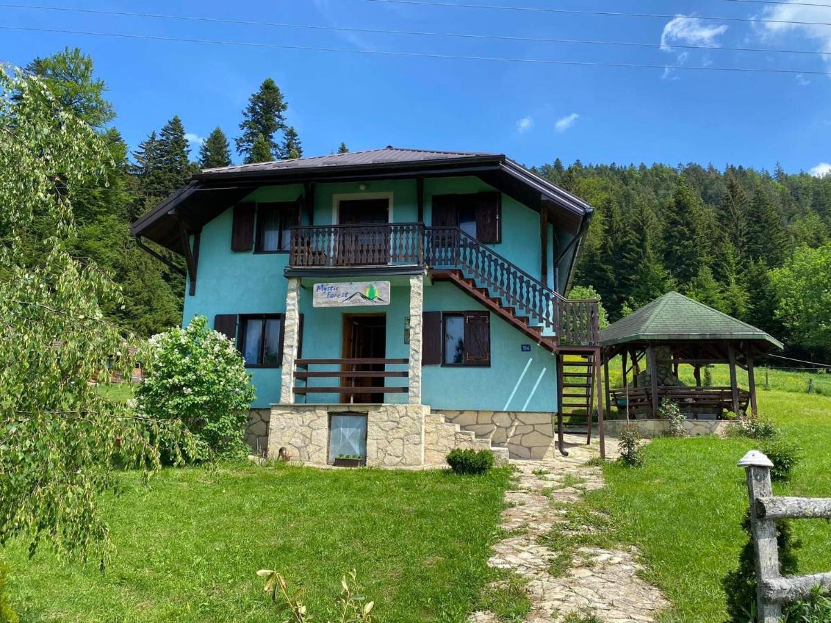 Mystic Forest Hostel Mitrovac Kültér fotó