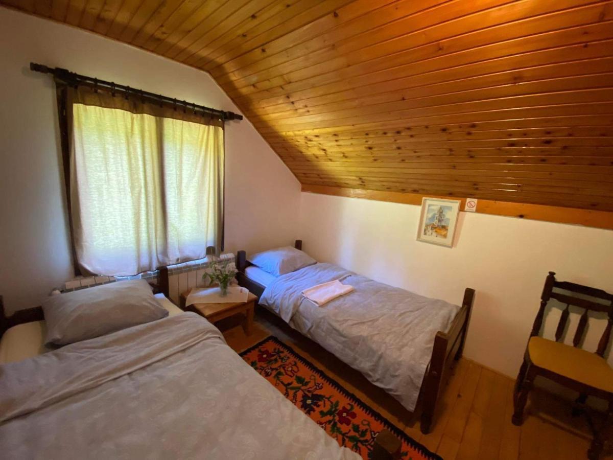 Mystic Forest Hostel Mitrovac Kültér fotó