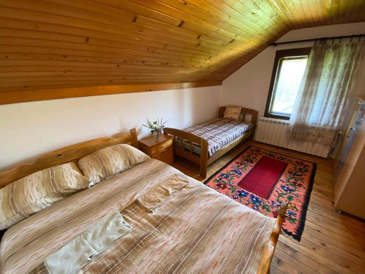 Mystic Forest Hostel Mitrovac Kültér fotó