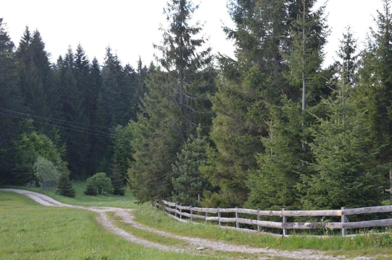 Mystic Forest Hostel Mitrovac Kültér fotó