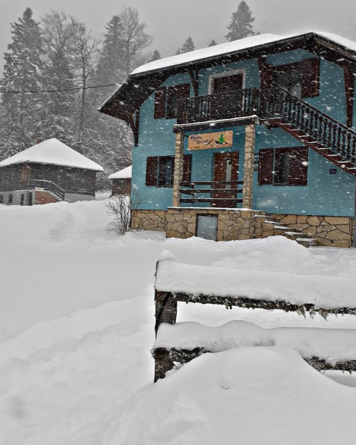 Mystic Forest Hostel Mitrovac Kültér fotó